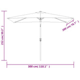 Parasol met metalen paal 300x200 cm bordeauxrood