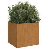 Plantenbakken 2 st 32x30x29 cm cortenstaal