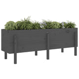 Plantenbak verhoogd 160x50x57 cm massief grenenhout grijs